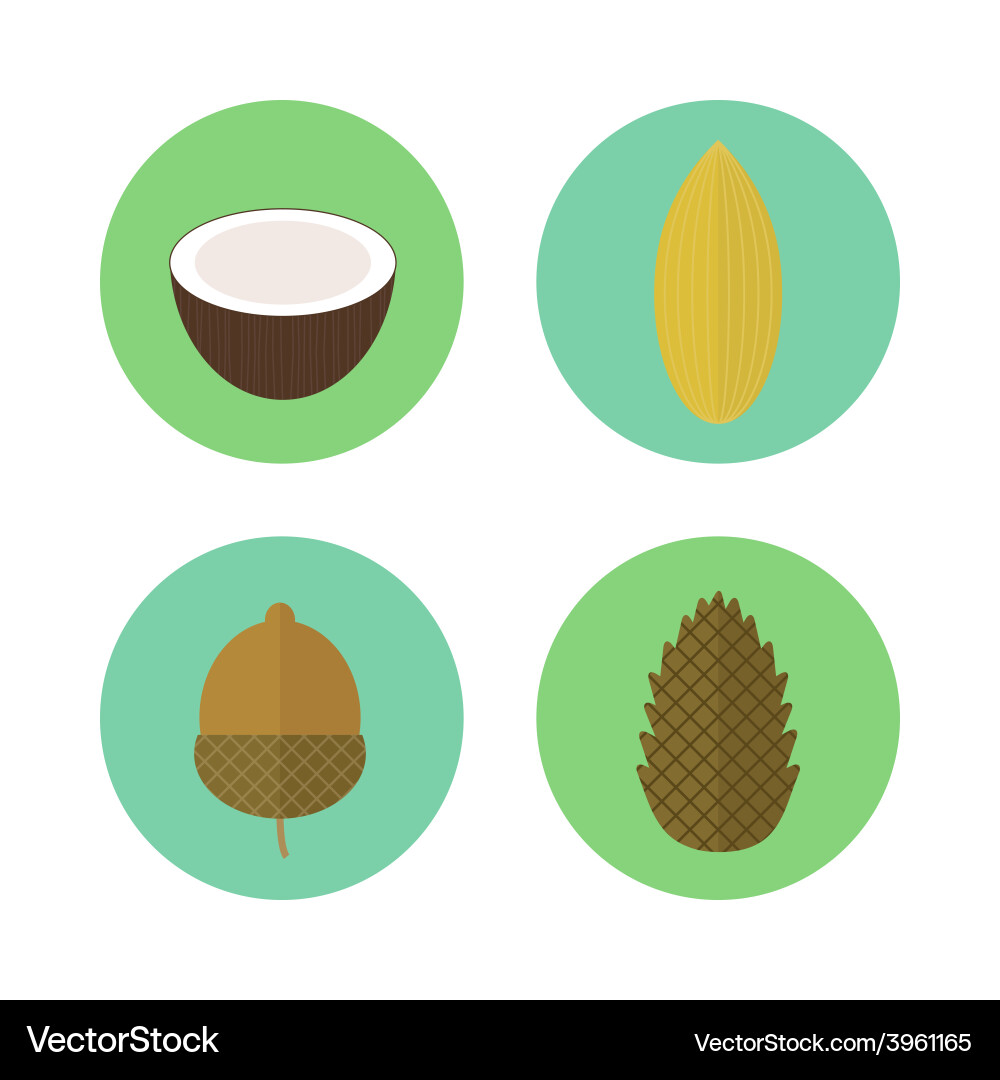Set of icons nuts elements for design vector image