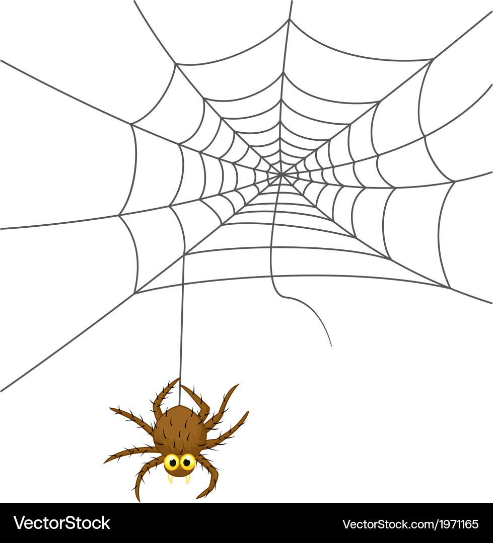 Spider web cartoon Royalty Free Vector Image - VectorStock