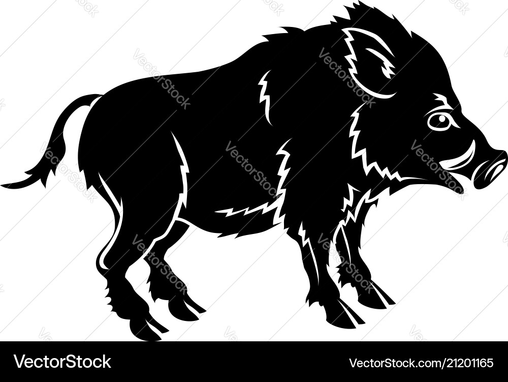 Stylized Boar Zodiac Symbol Vector Image