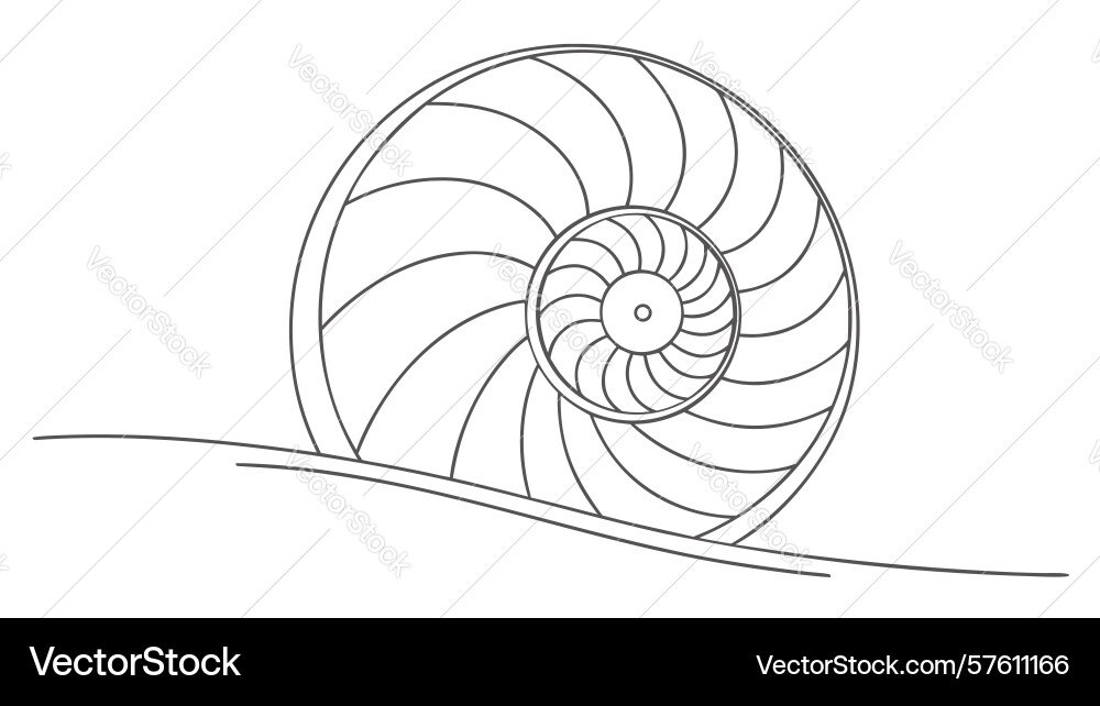 Elegant nautilus shell outline design generative vector image