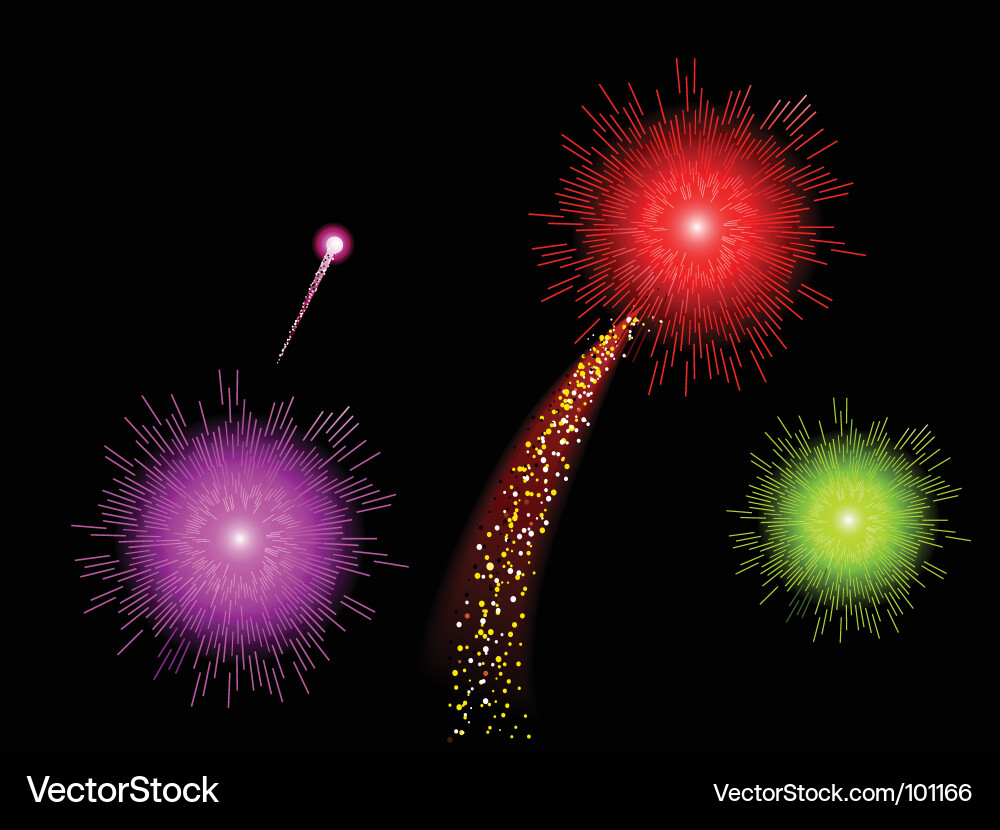 Fireworks Vector Image