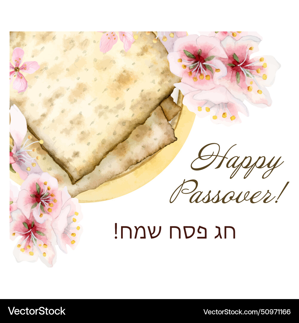 Happy passover greeting banner with matzah bread Happy passover greeting banner with matzah bread vector image