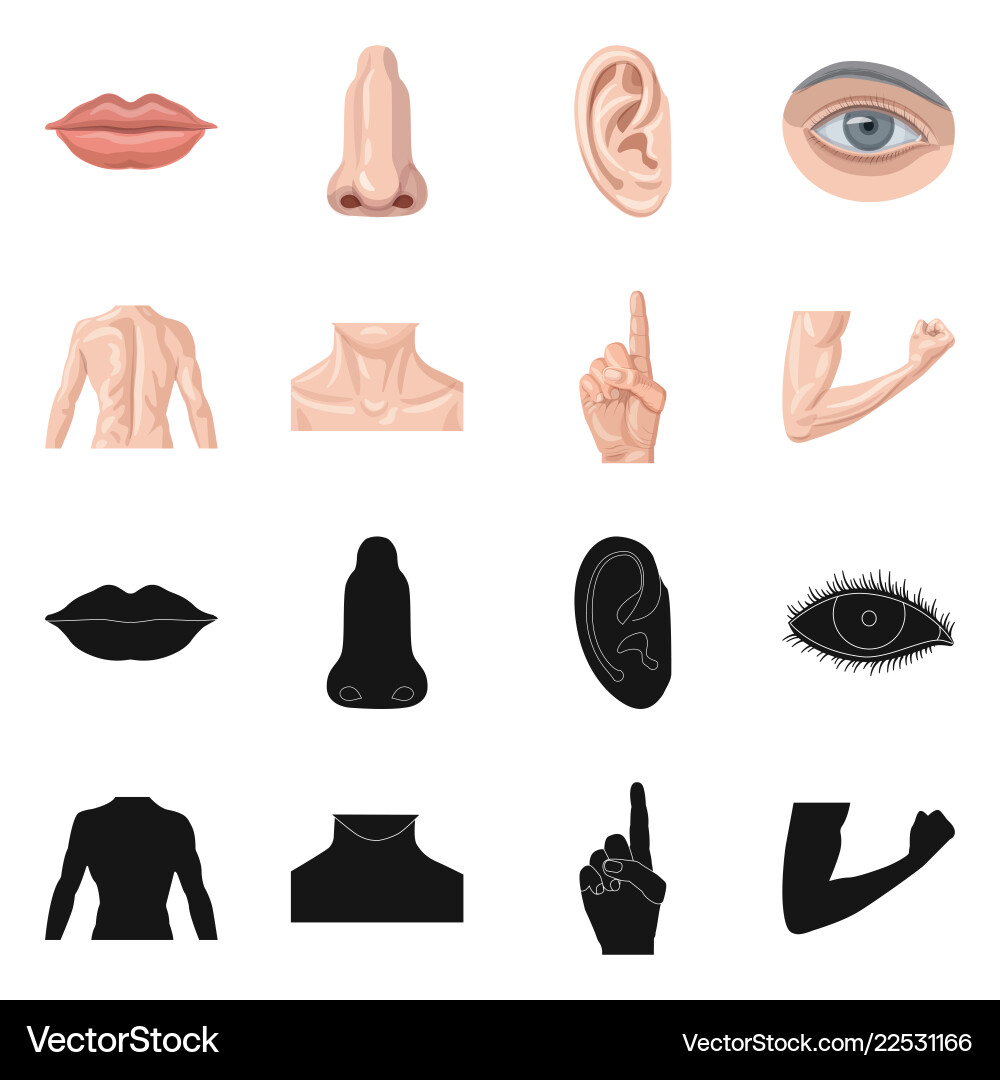 Isolated object of human and part logo collection vector image