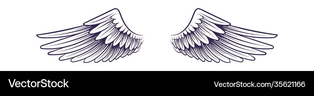 Sketch angel wings flying hand drawn wing Sketch angel wings flying hand drawn wing vector image