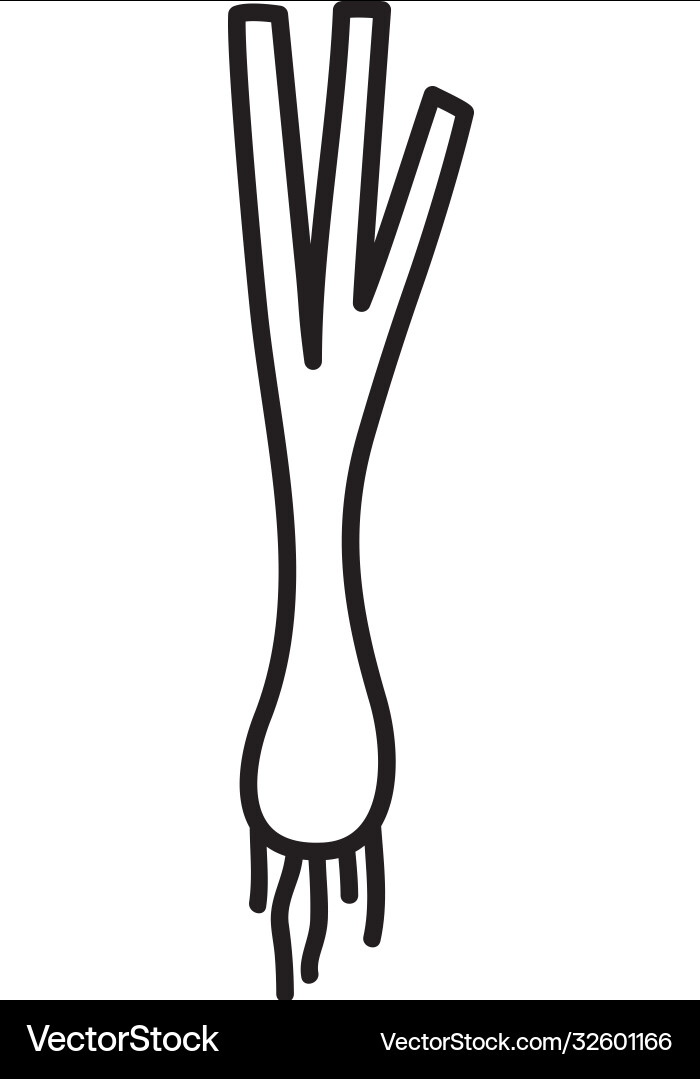 Spring onion icon line style Spring onion icon line style Vector Image