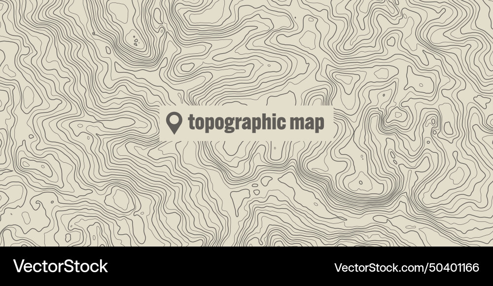 Topographic map with contour lines geographic vector image