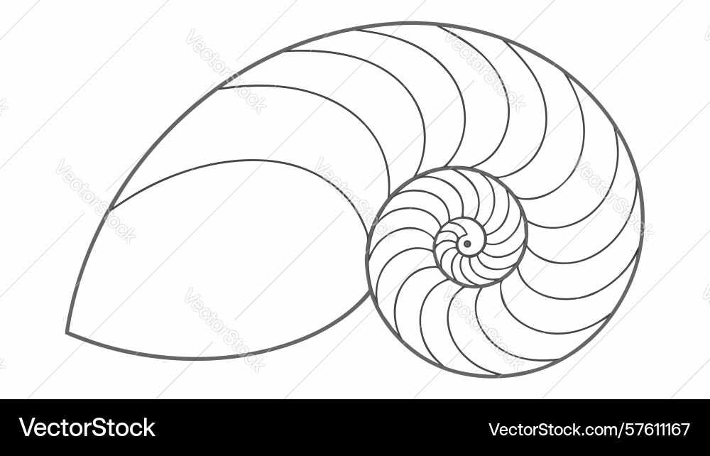 Detailed snail shell outline design generative ai vector image