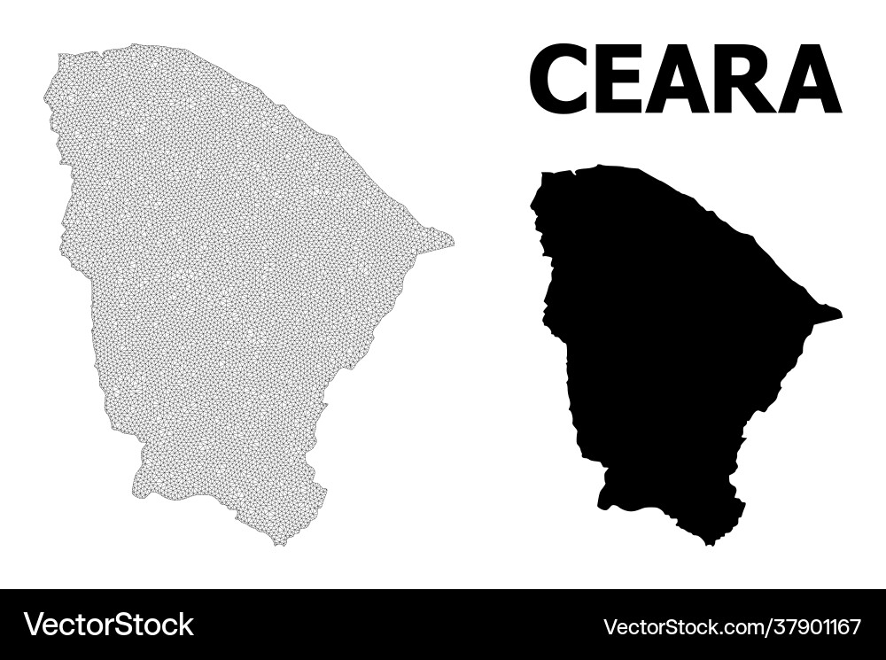 Polygonal network mesh high resolution map vector image