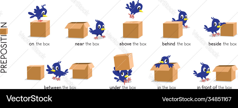 Preposition place set bird and box Preposition place set bird and box vector image
