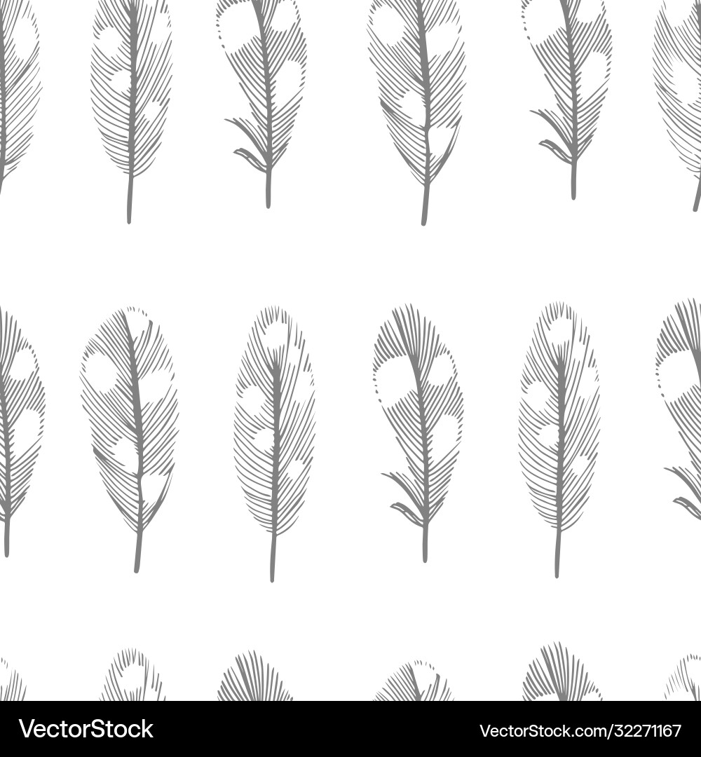Seamless pattern with feathers on a white vector image