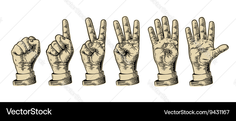 Set gestures of hands counting from zero to five vector image
