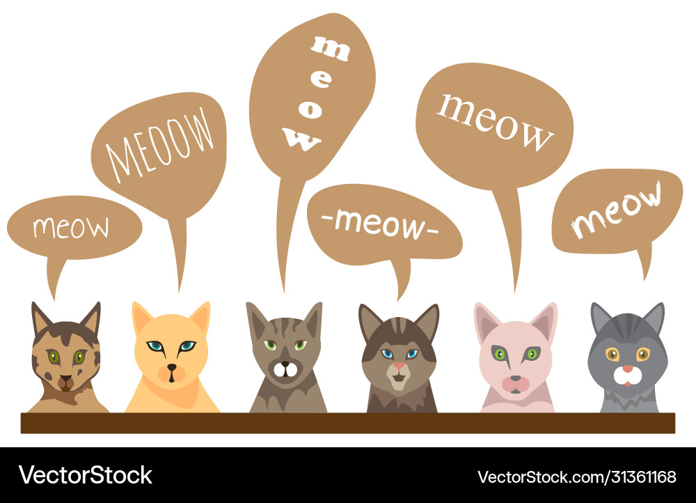 Funny cats with text meow in flat style isolate Funny cats with text meow in flat style isolate vector image