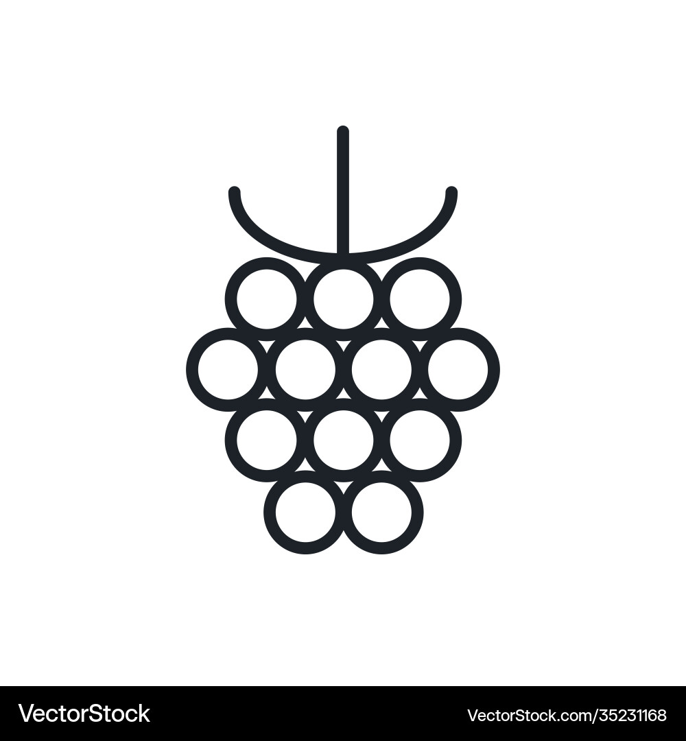 Raspberry icon linear contour shape Raspberry icon linear contour shape Vector Image