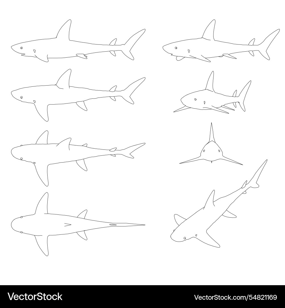 Set with contours of a shark in different Set with contours of a shark in different vector image