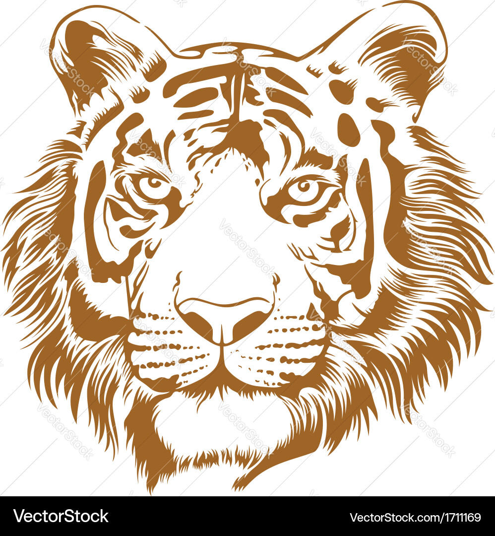 Tiger stencil vector image