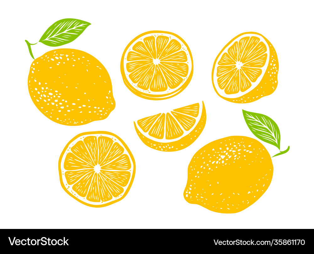 Fresh lemon fruits collection vector image