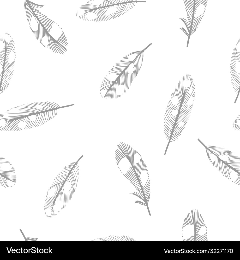 Seamless pattern with feathers on a white vector image