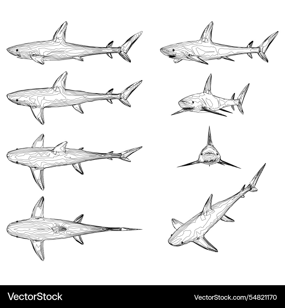 Set with contours of a shark in different Set with contours of a shark in different Vector Image