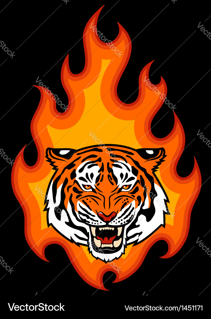 Fiery Tiger Head Vector Image