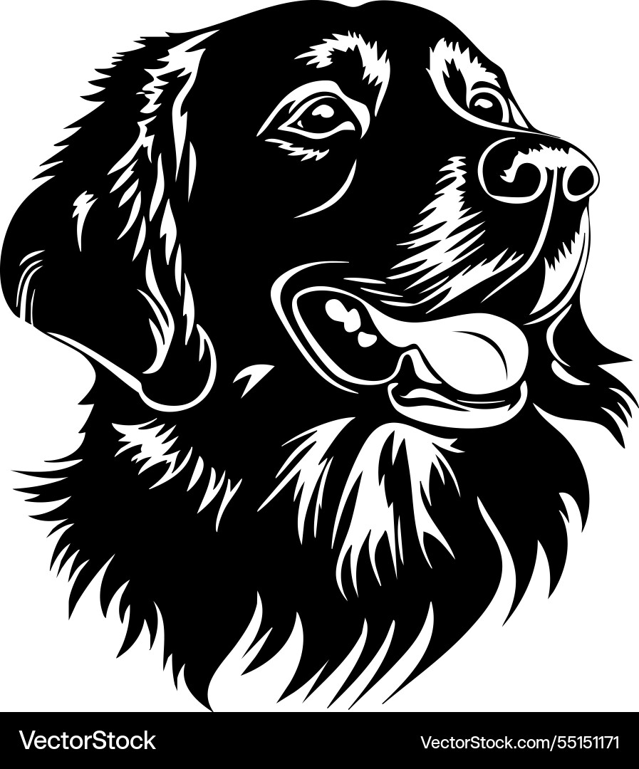 Friendly Golden Retriever Head Vector Image