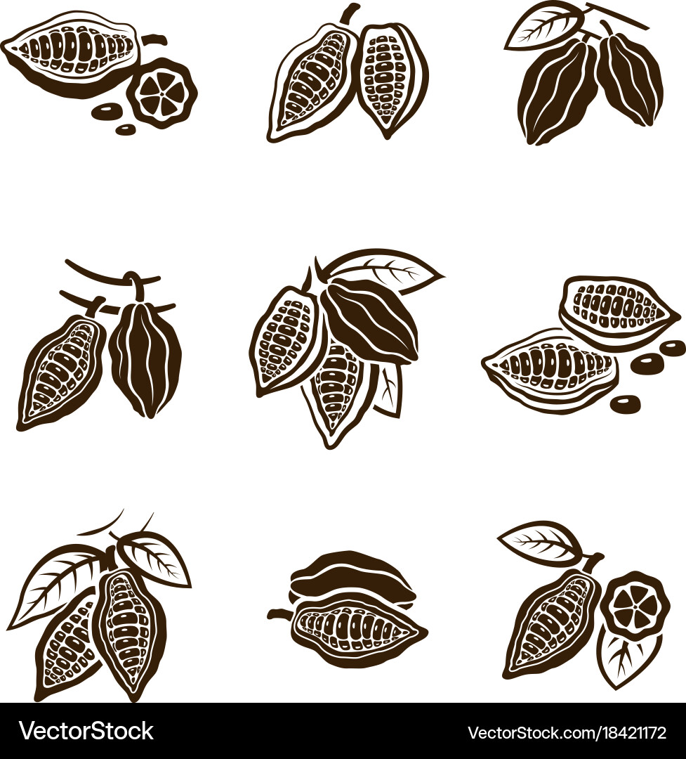 Cocoa Bean Collection vector image