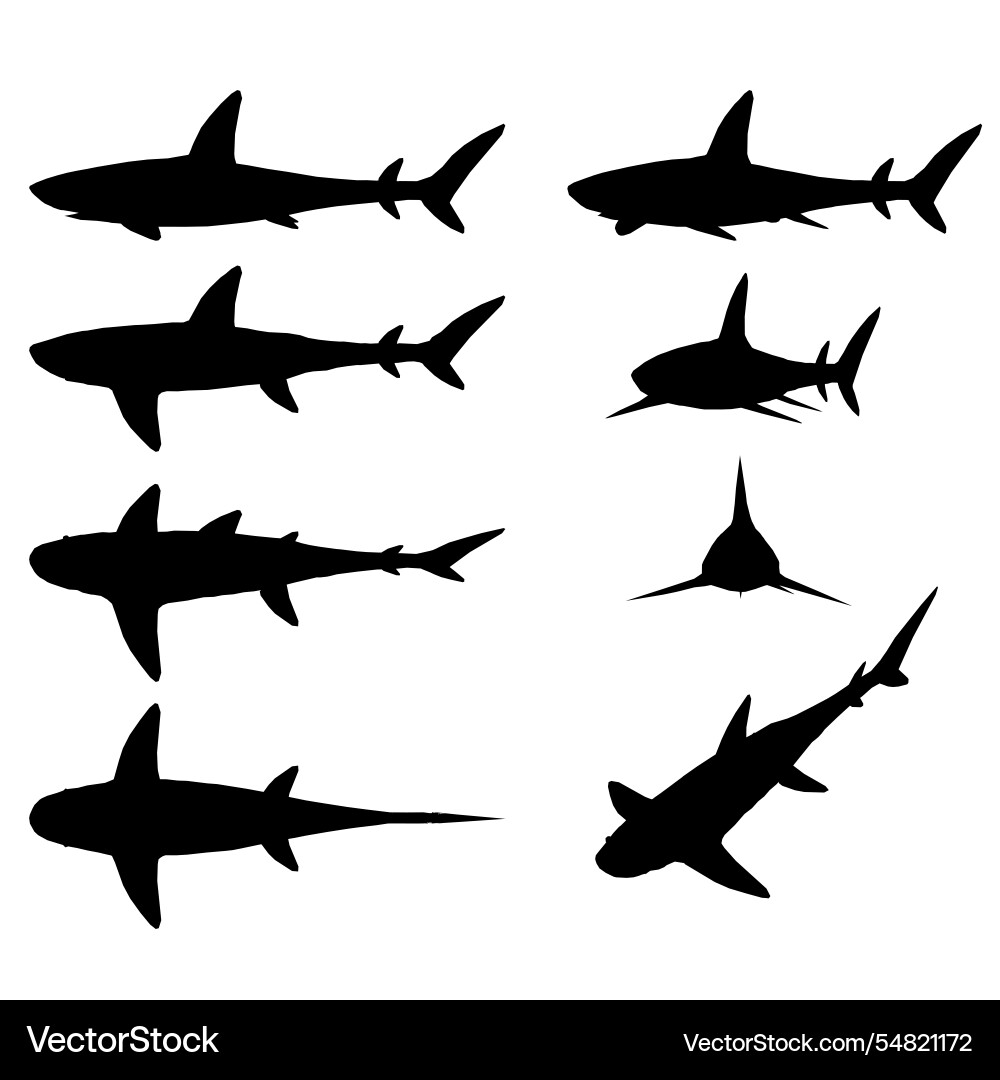 Set with shark silhouette in different positions Set with shark silhouette in different positions vector image