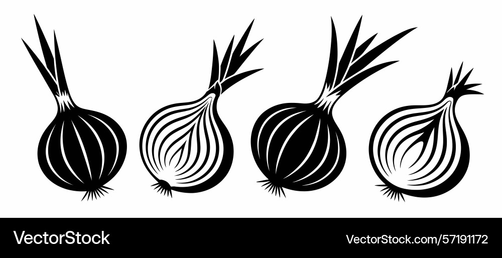 Simple black and white clock face design element Simple black and white clock face design element Vector Image