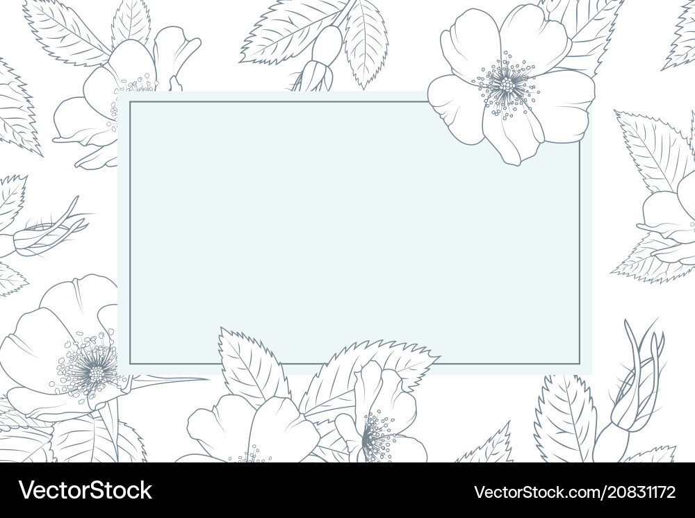 Vintage Wild Rose Card Vector Image