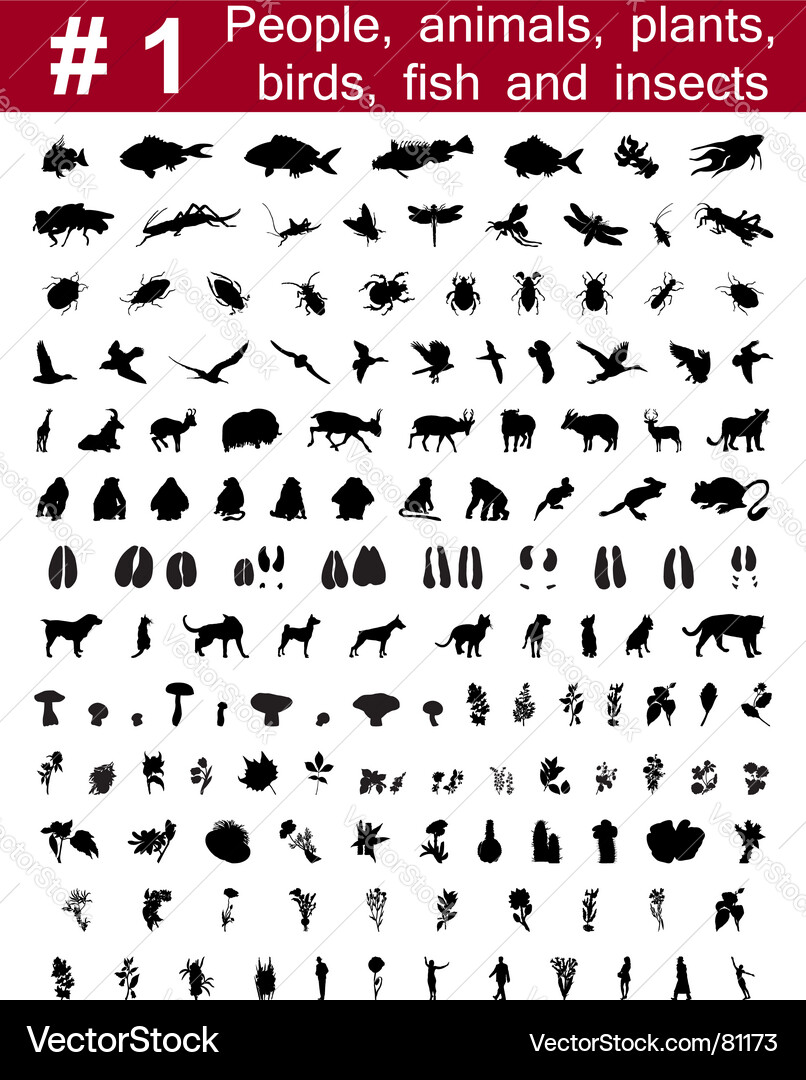 Animal Silhouette Collection Vector Image