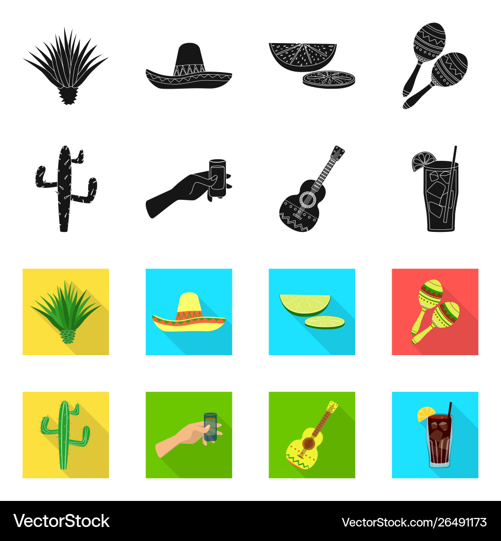 Isolated object cafe and latin icon collection Isolated object cafe and latin icon collection vector image