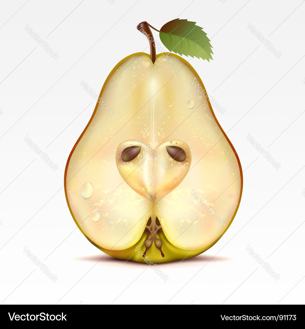 Pear Vector Image