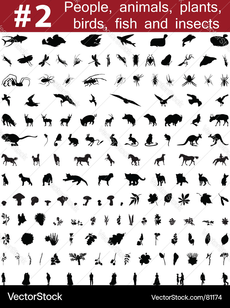 Animal Silhouette Collection Vector Image