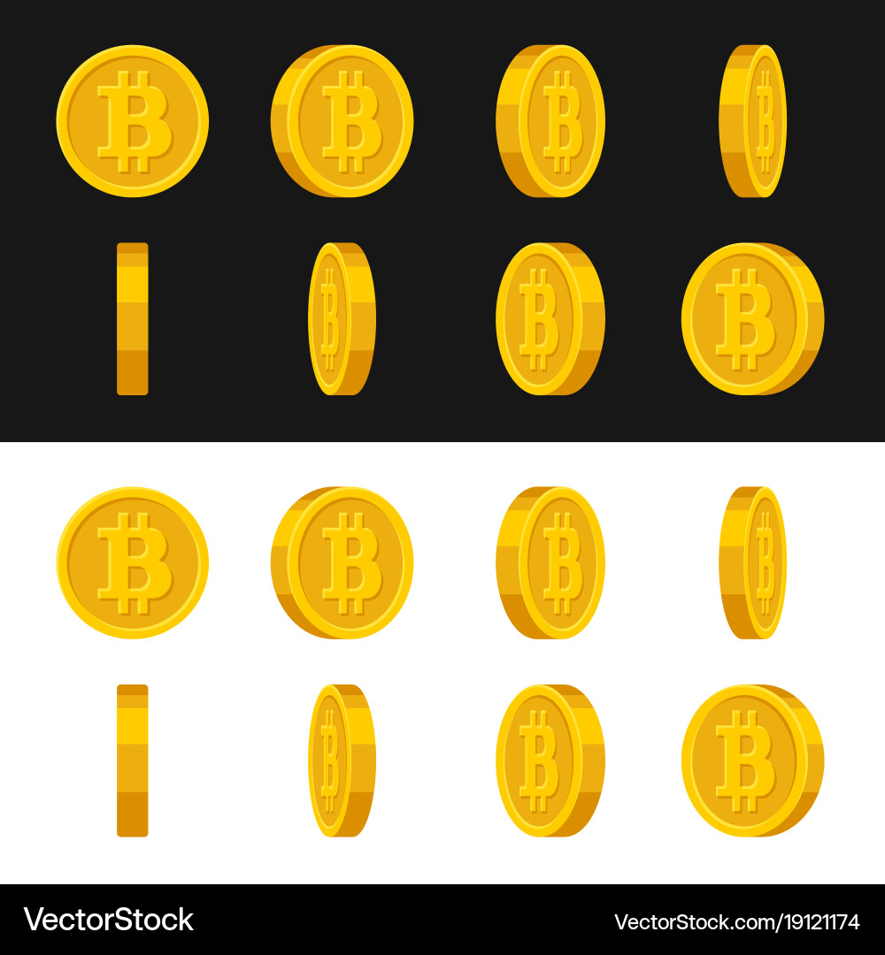 Gold Bitcoin Frames - Animation Set vector image