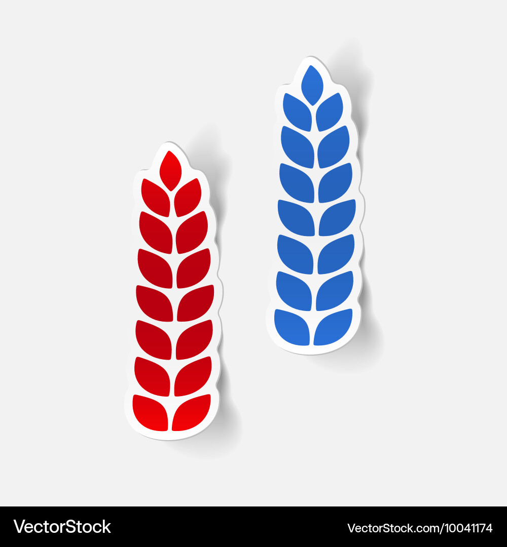Realistic design element ears of wheat Vector Image