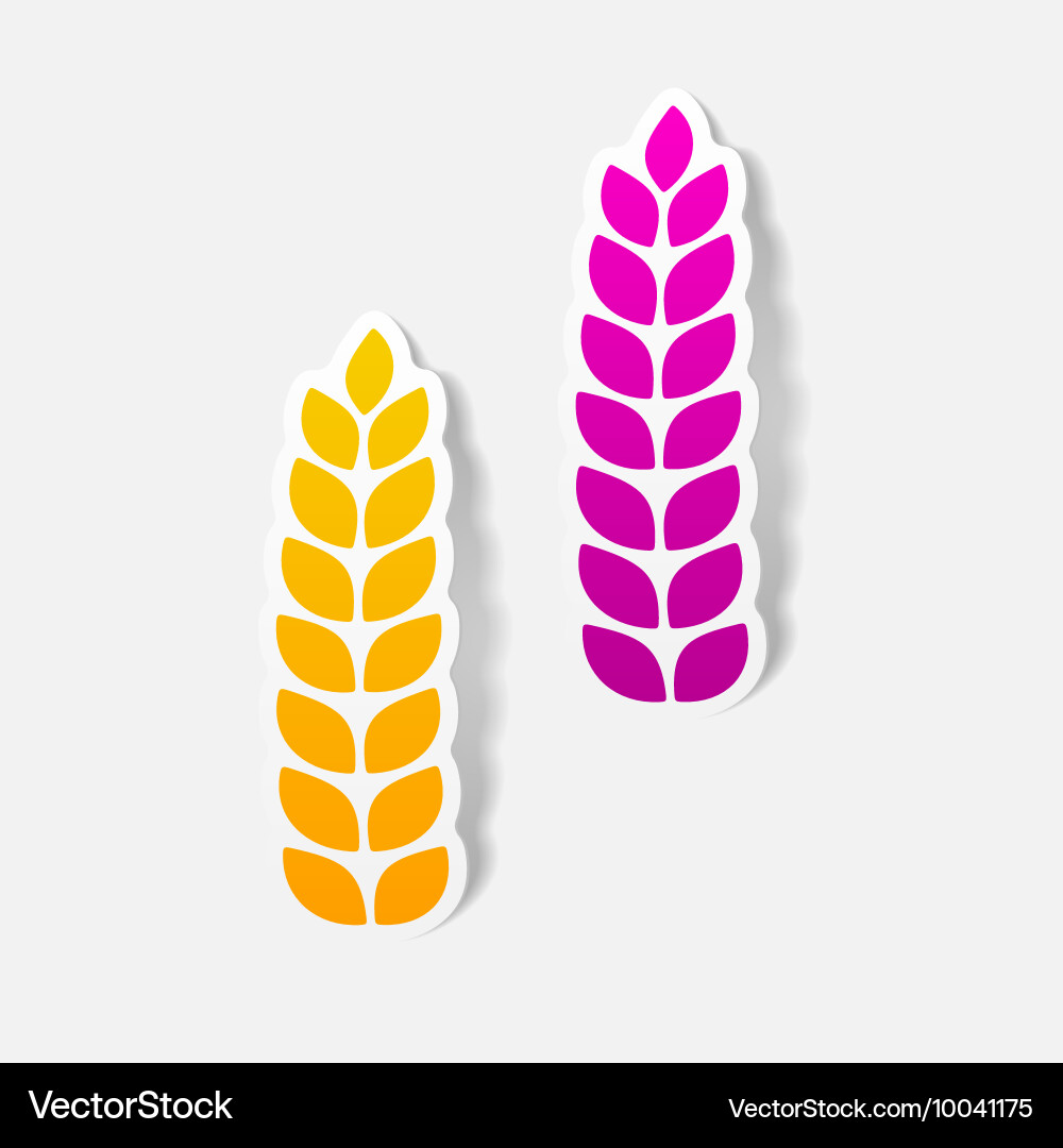 Realistic design element ears of wheat vector image