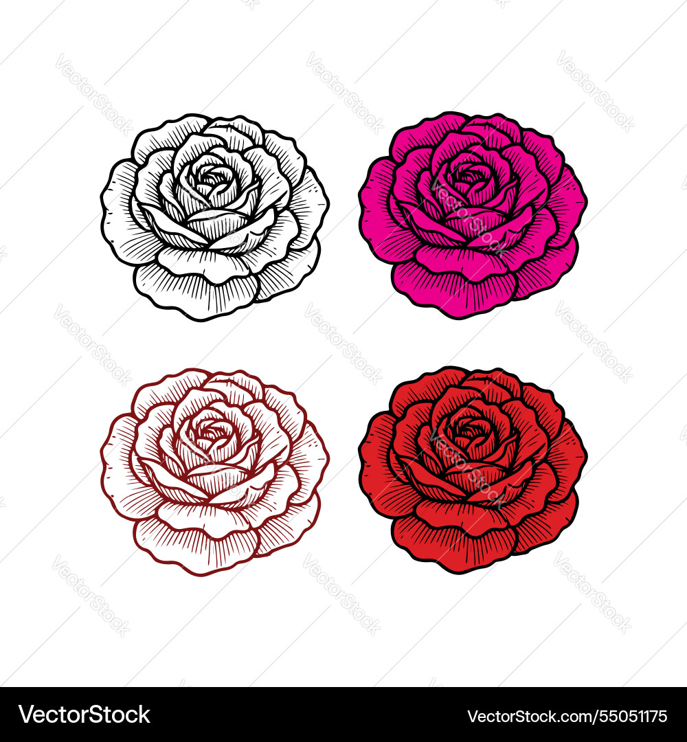 Rose artwork Royalty Free Vector Image - VectorStock