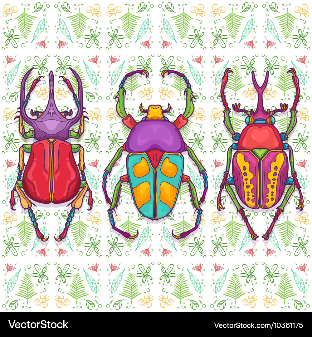 Set of 3 colorful beetle bugs insect vector image