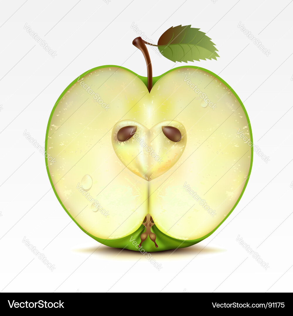 Sliced Apple - Close-Up Vector Image