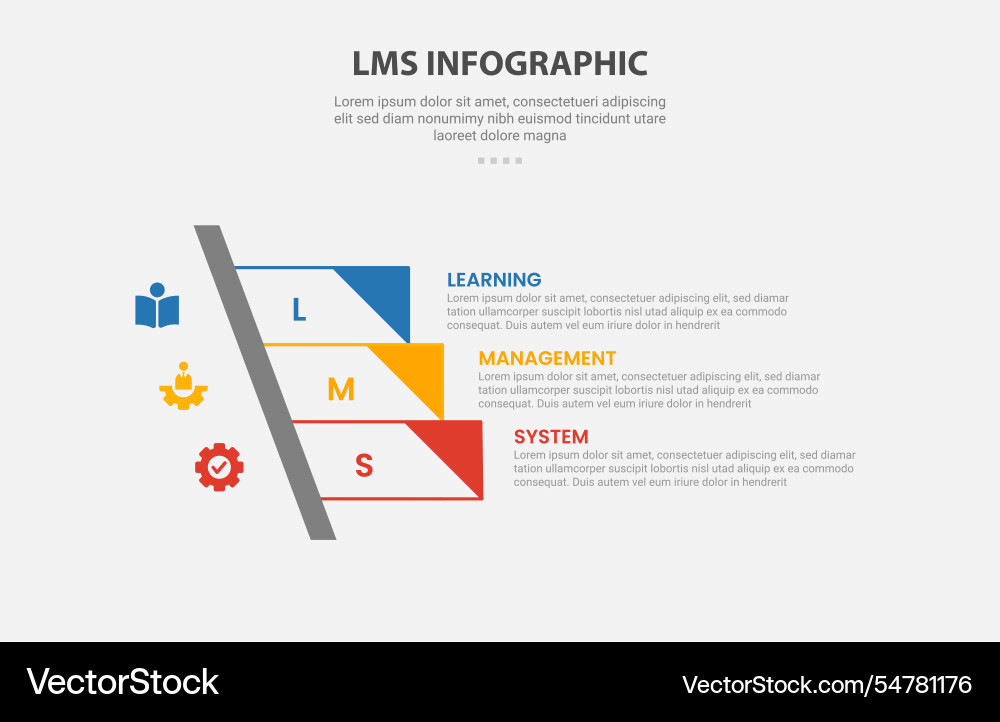 Lms learning management system infographic vector image