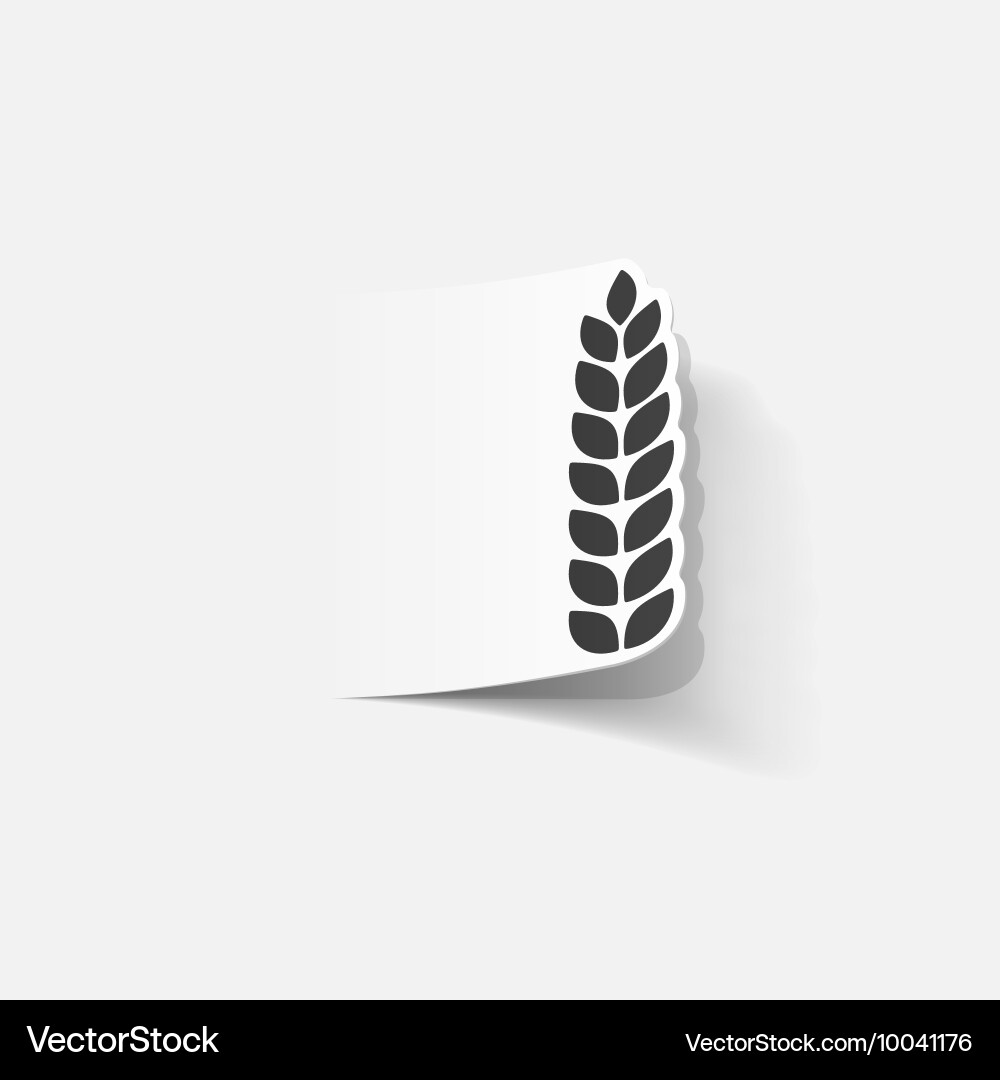 Realistic design element ears of wheat vector image