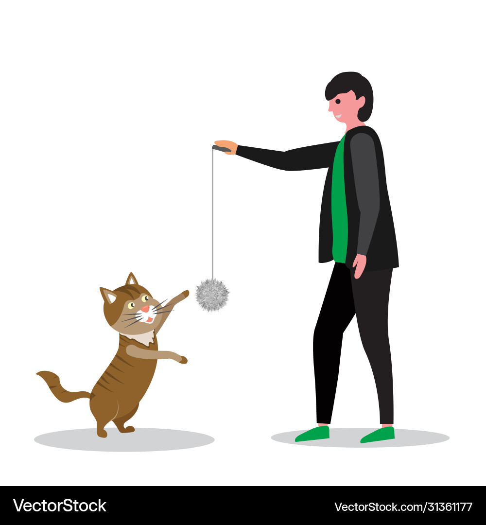 A man playing with cat image Vector Image