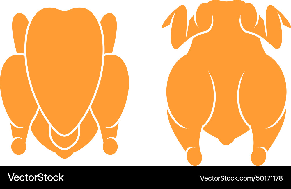 Chicken meat Vector Image