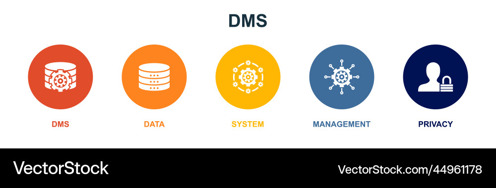 Dms data system management privacy icons vector image