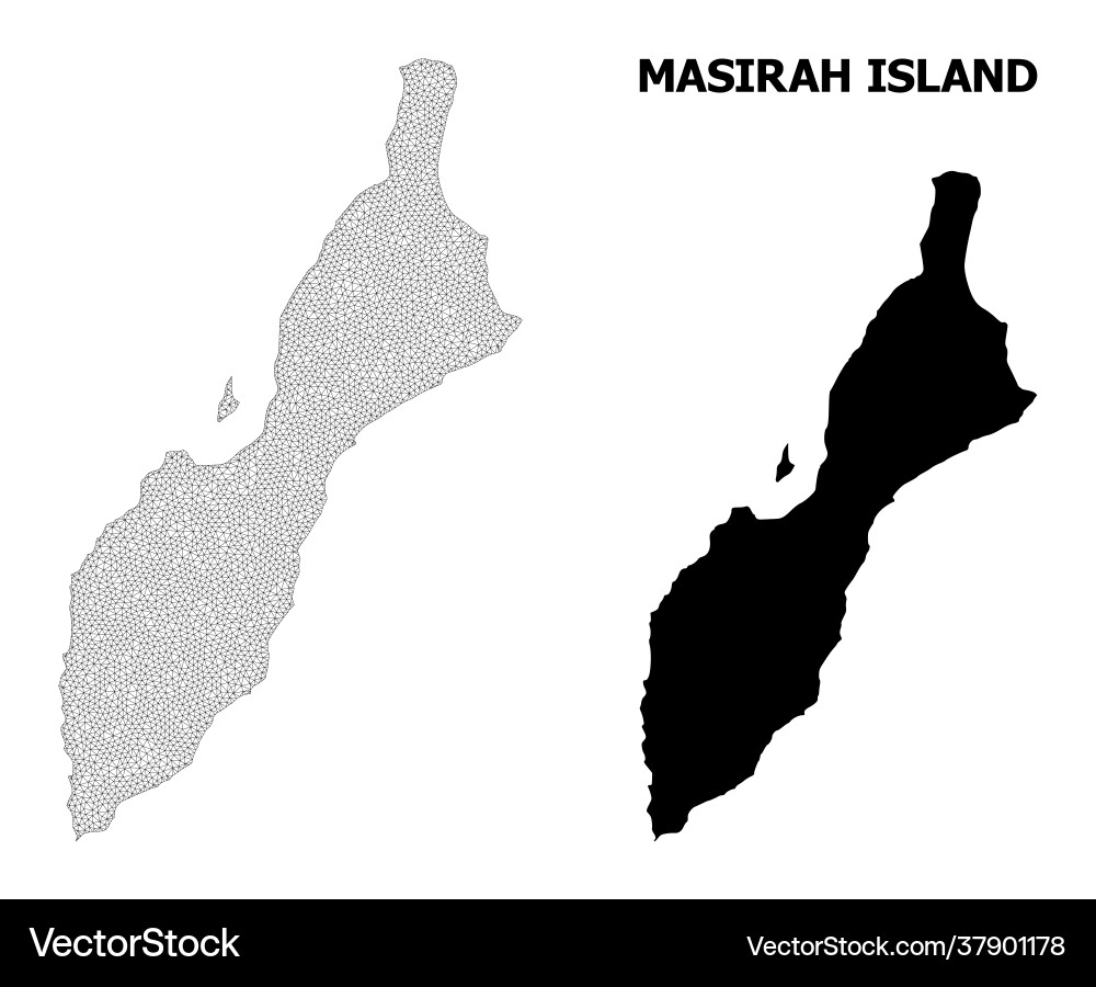 Polygonal network mesh high resolution map Vector Image