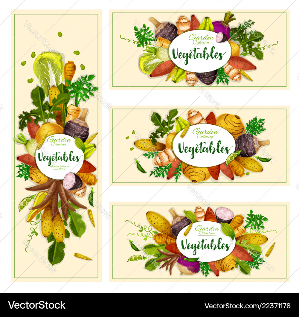 Vegetables and exotic tubers Vegetables and exotic tubers vector image