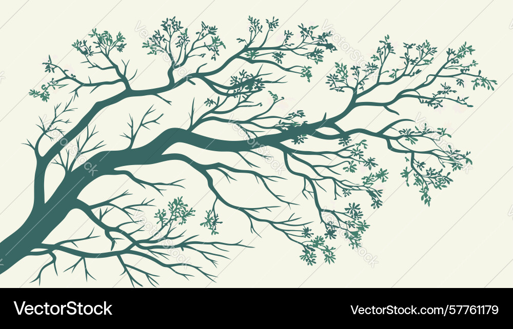 Stylized tree branch element abstract nature Vector Image