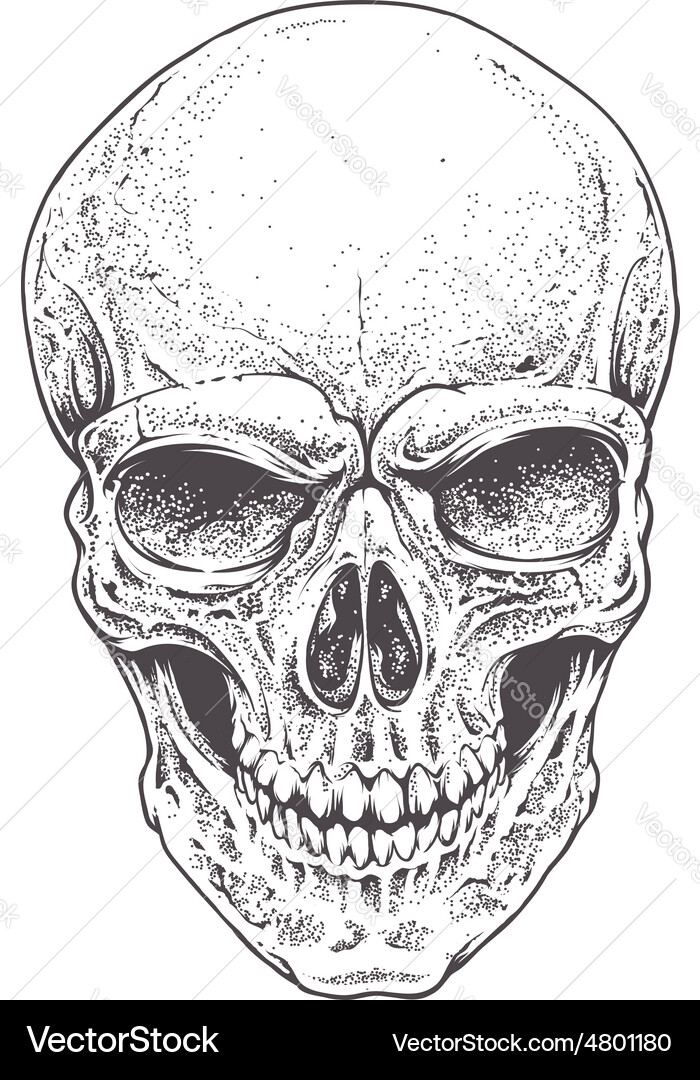 Dotwork skull Vector Image