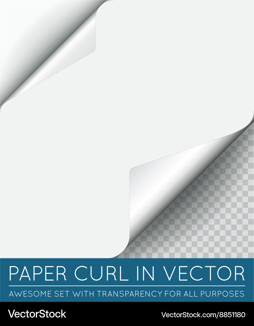 Paper page curl with shadow isolated vector image