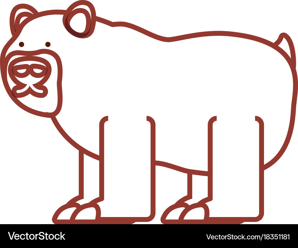 Bear Royalty Free Vector Image - VectorStock