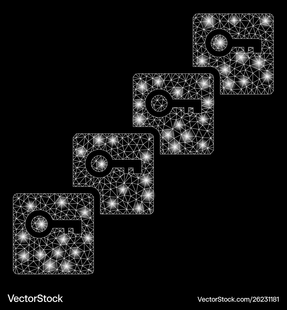 Flare mesh 2d key blockchain with spots Vector Image